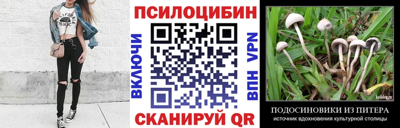 Псилоцибиновые грибы MAGIC MUSHROOMS  KRAKEN   Ковров 