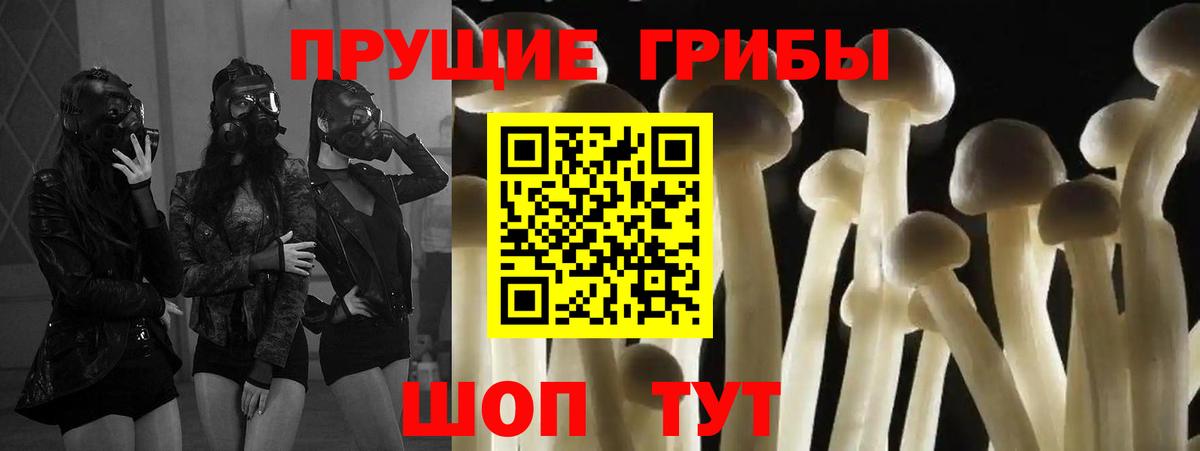 Ковров  Галлюциногенные грибы Cubensis  Галлюциногенные грибы Psilocybe  Вход с VPN 